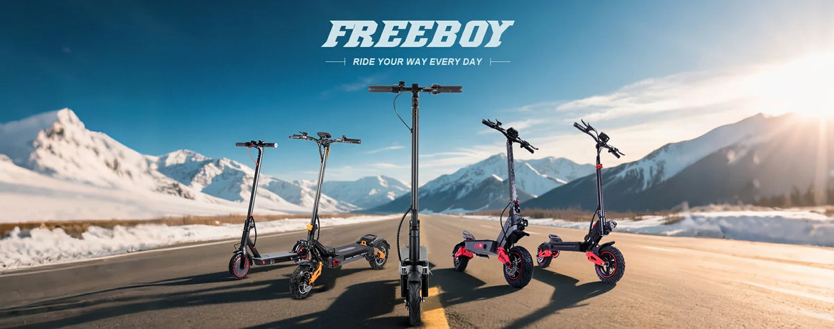 Electric Scooters