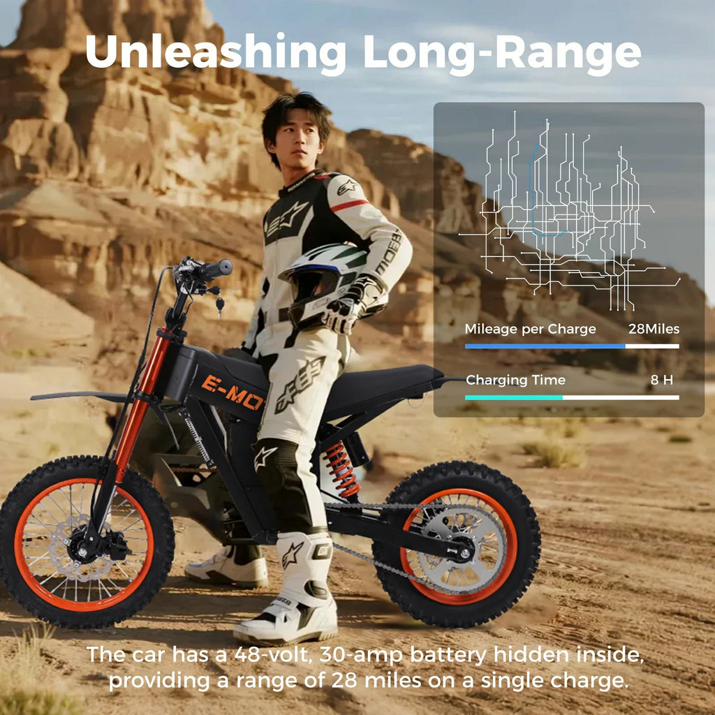 FREEBOY Electric Bike Y01