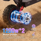 FREEBOY H6 Electric Scooter